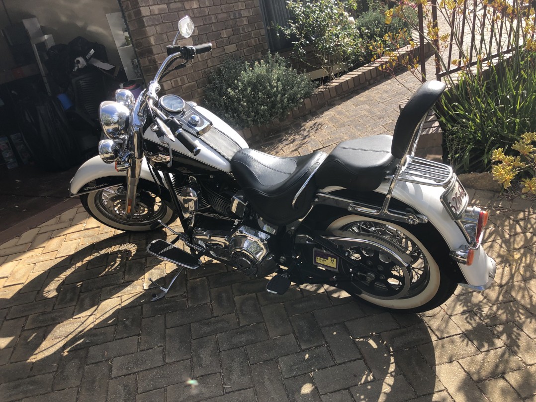 2006 Harley Soft Tail Deluxe