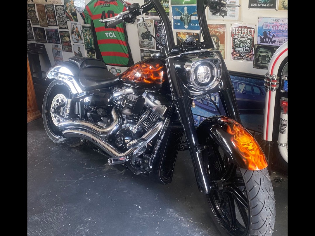 2018 Harley-Davidson Flfbs