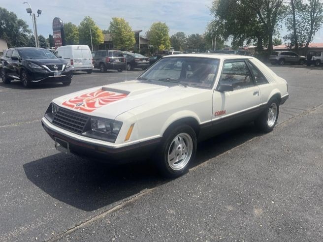 1979 Ford Mustang Cobra