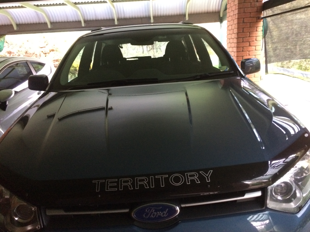2016 Ford TERRITORY TS