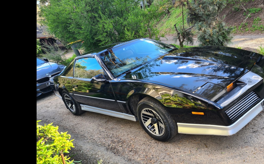1984 Pontiac FIREBIRD TRANS AM