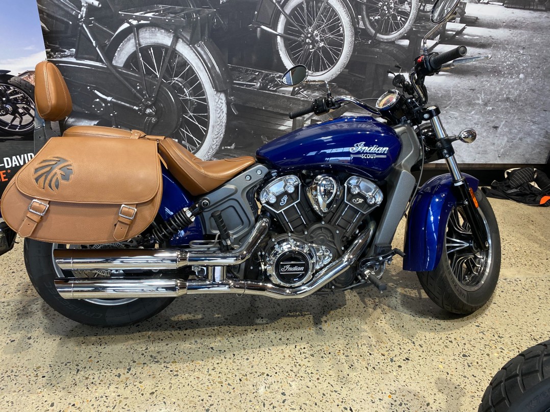 2019 Indian Scout