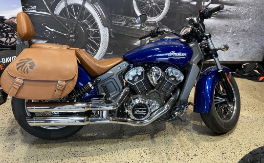 2019 Indian Scout