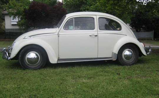 1967 Volkswagen Type 1