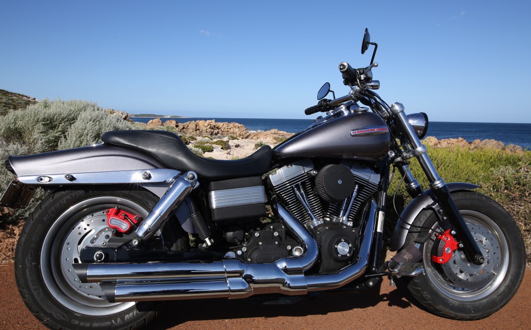 2009 Harley-Davidson FXDF FatBob