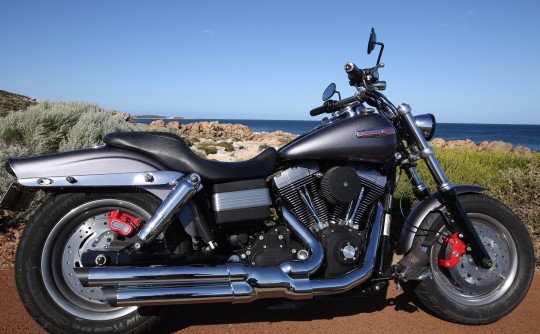 2009 Harley-Davidson FXDF FatBob