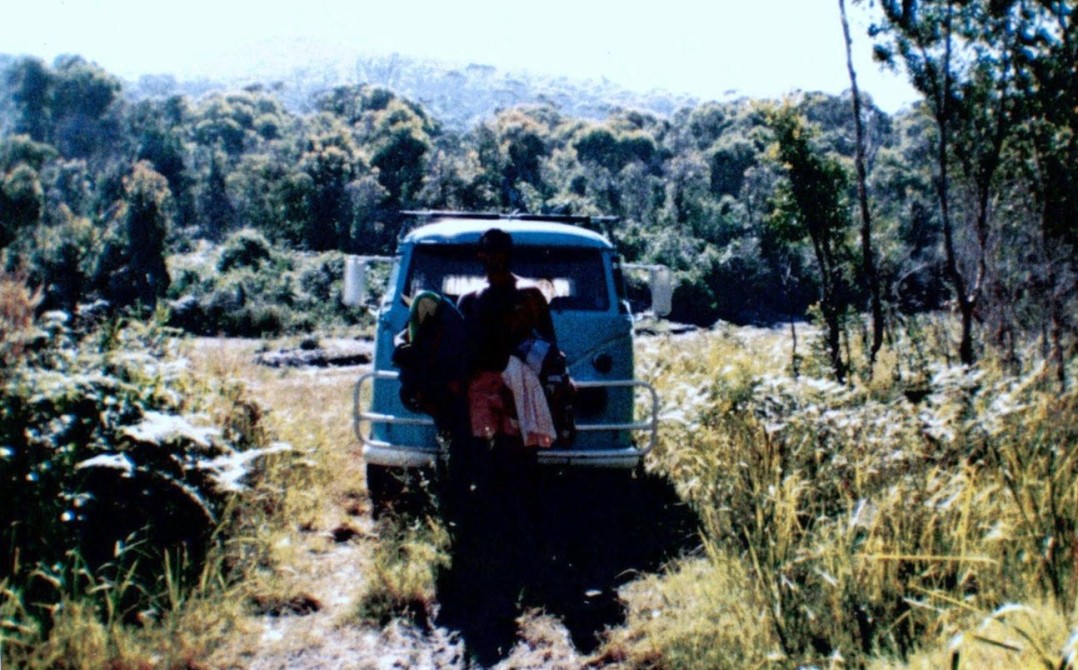 1967 Volkswagen combi