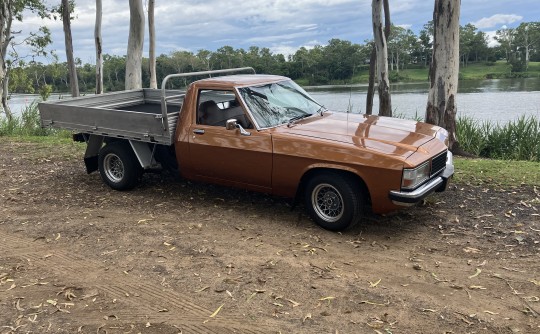 1980 Holden WB