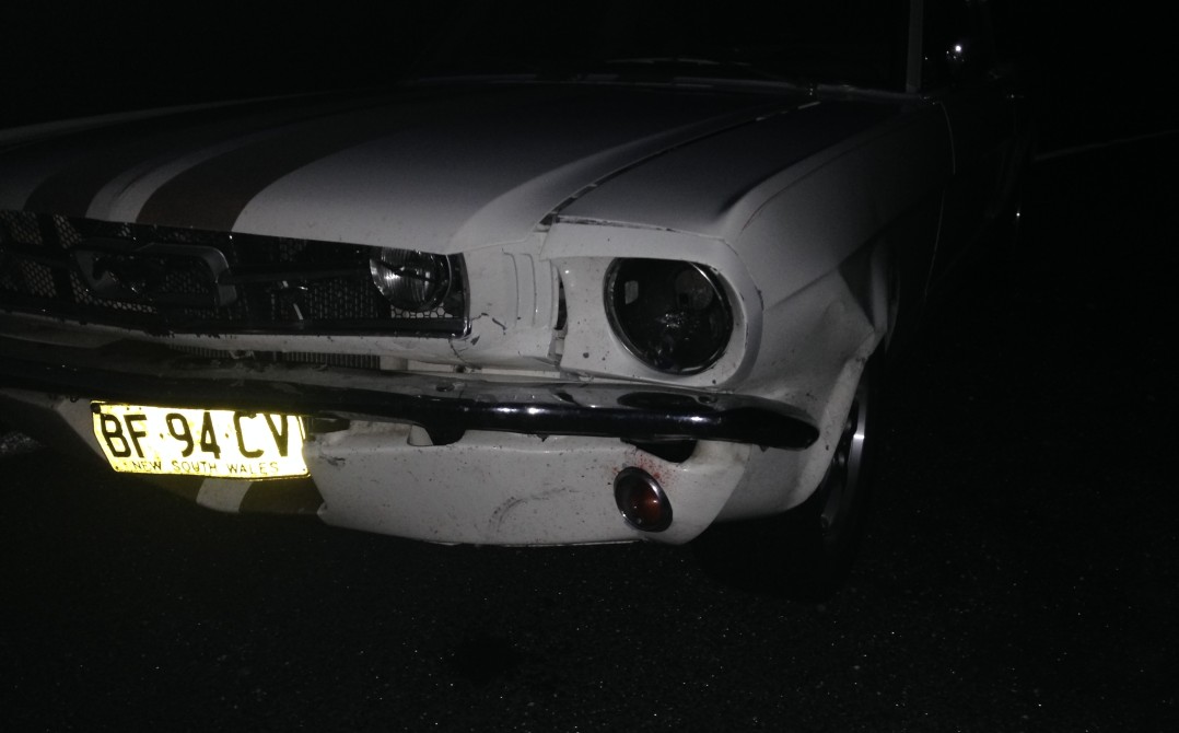 1965 Ford Mustang - Daily driver vs Kangaroo - My Experience