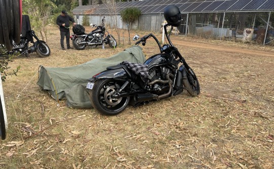 2013 Harley-Davidson Night Rod