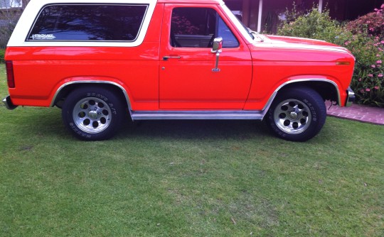 1983 Ford Bronco {2x4}