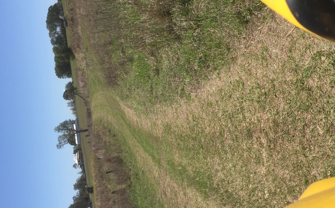 My track