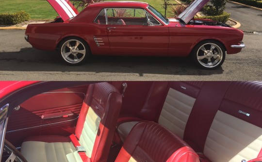 1966 Ford Mustang