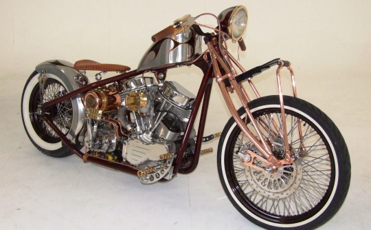 2011 Harley-Davidson custom