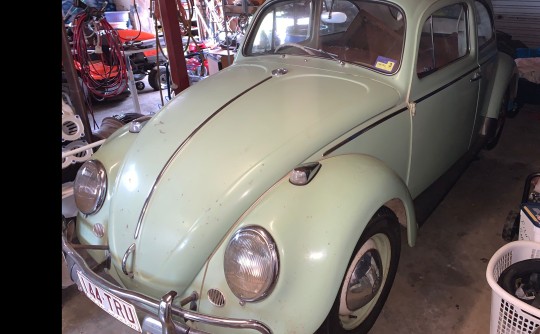 1967 Volkswagen Type 1 BEETLE