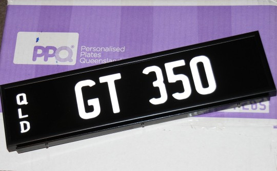 GT 350 Plates for sale