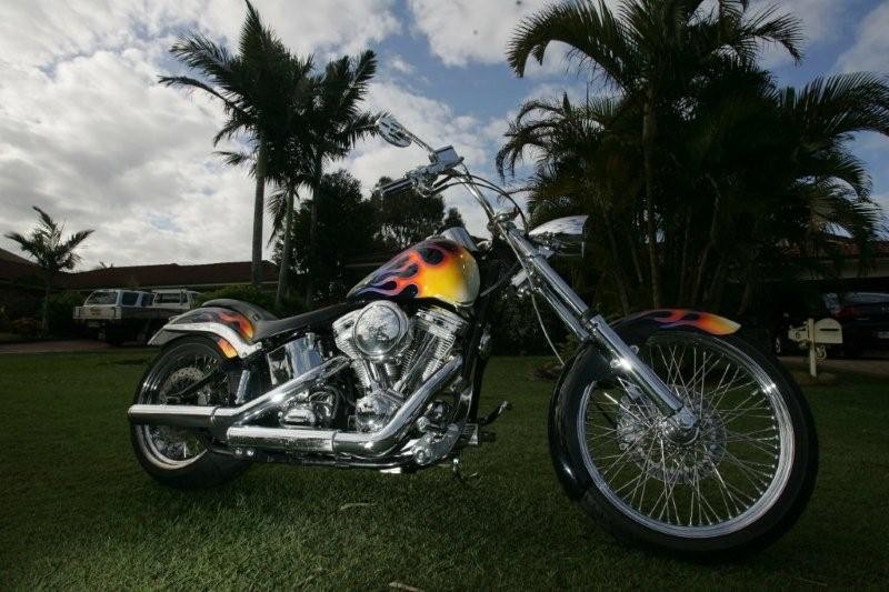 1989 Harley-Davidson Custom Soft tail