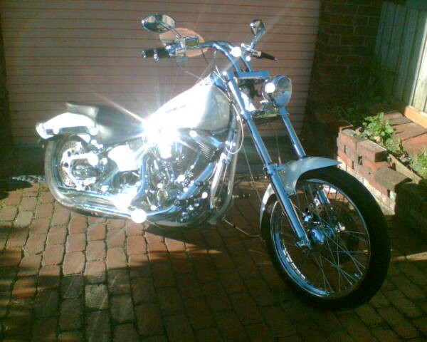 1987 Harley-Davidson fxstc custom softail