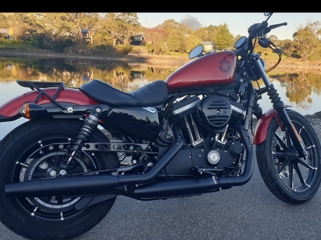 2019 Harley-Davidson 883cc XL883 IRON 883