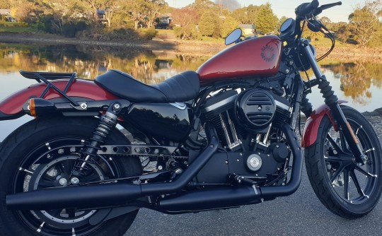 2019 Harley-Davidson 883cc XL883 IRON 883