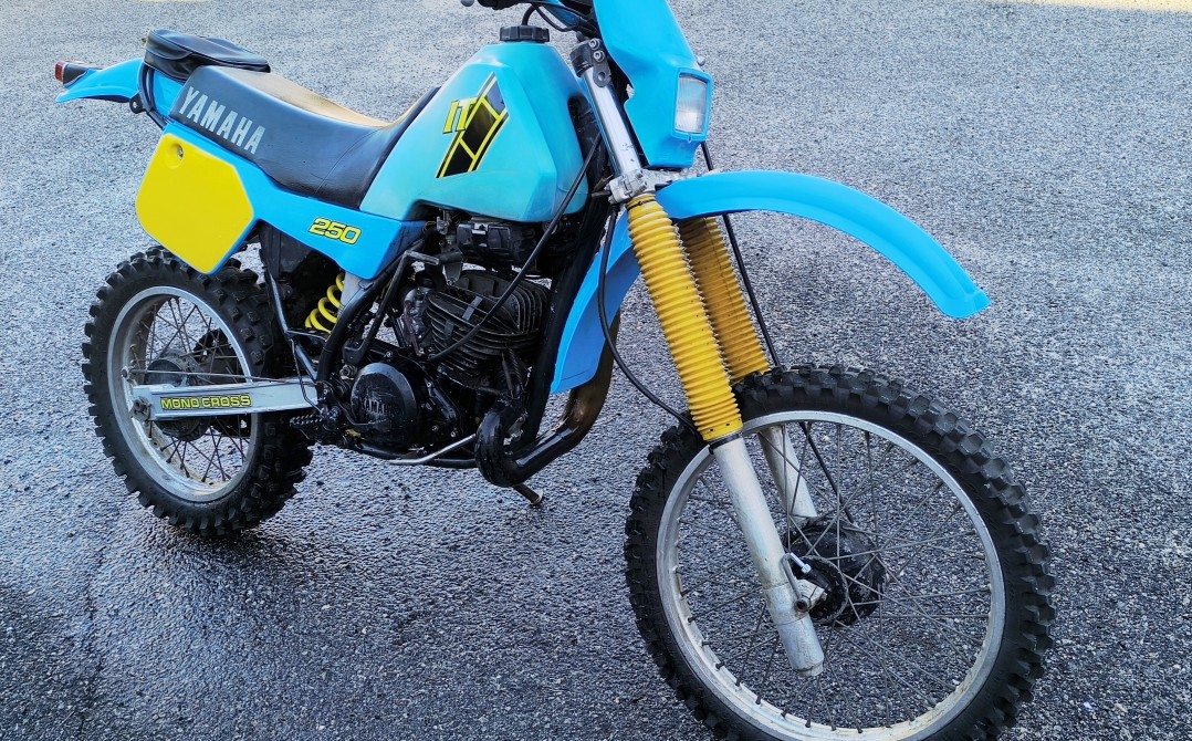 1983 Yamaha IT250