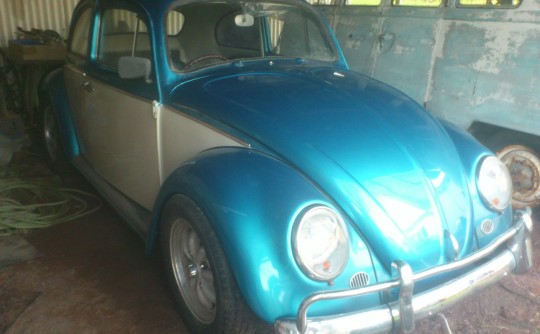 1963 Volkswagen Beetle