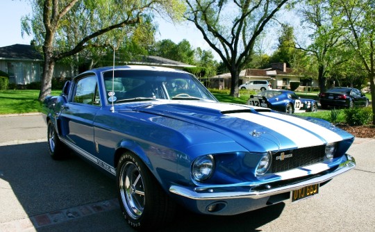 1967 Shelby Mustang GT350