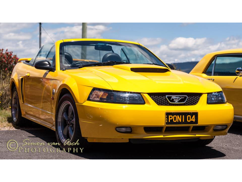 2004 Ford Mustang GT 2004 Anniversary Special.