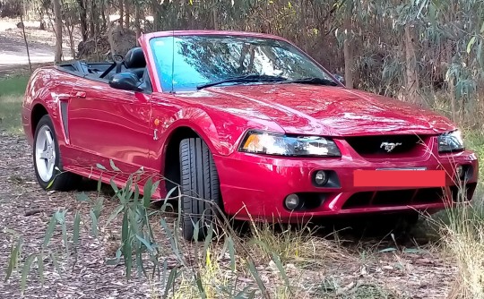 2002 Ford MUSTANG COBRA