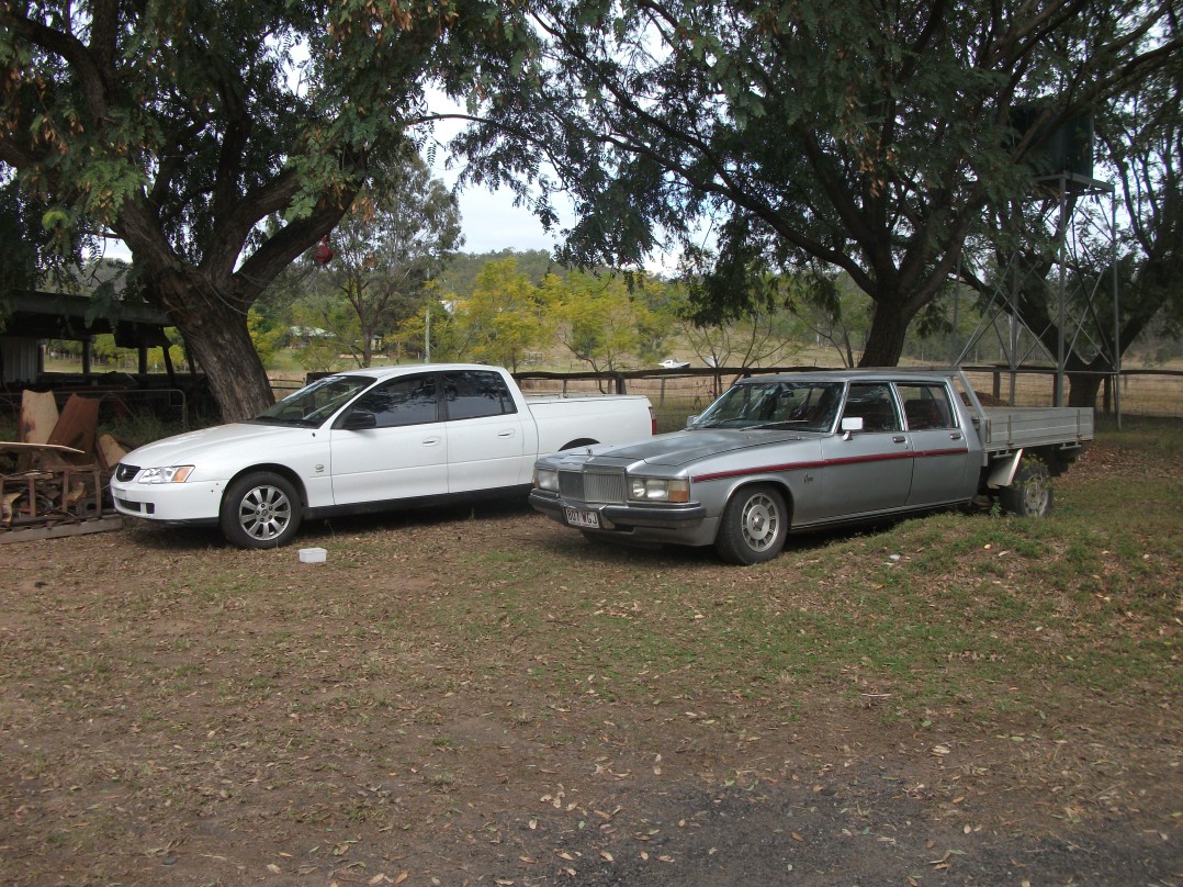 1981 Holden STATESMAN CAPRICE