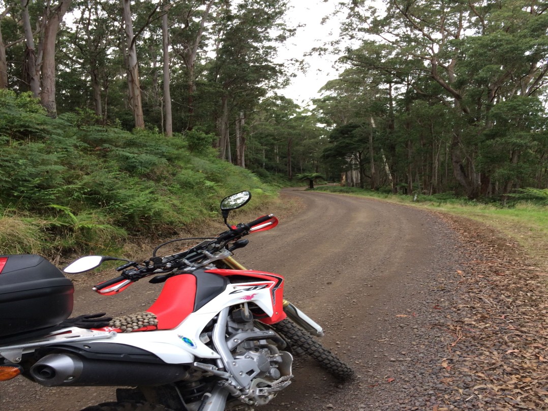 2013 Honda CRF250L