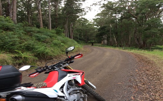 2013 Honda CRF250L