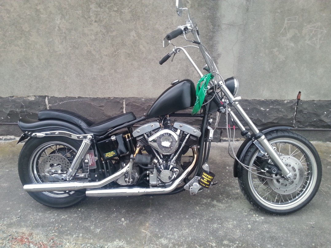 1974 Harley-Davidson Shovelhead Custom