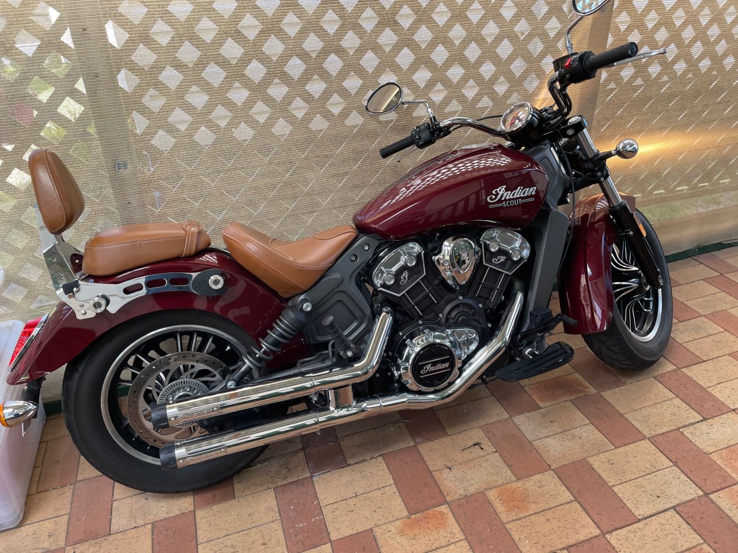 2019 Indian Scout