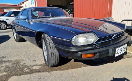 1979 Jaguar Xjs