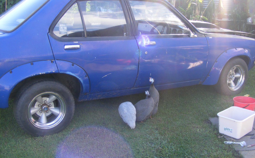 1977 Holden TORANA SLR REPLICA, EFI  308