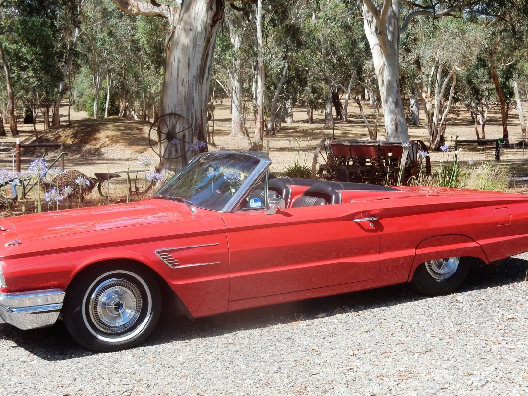 1965 Ford Thunderbird