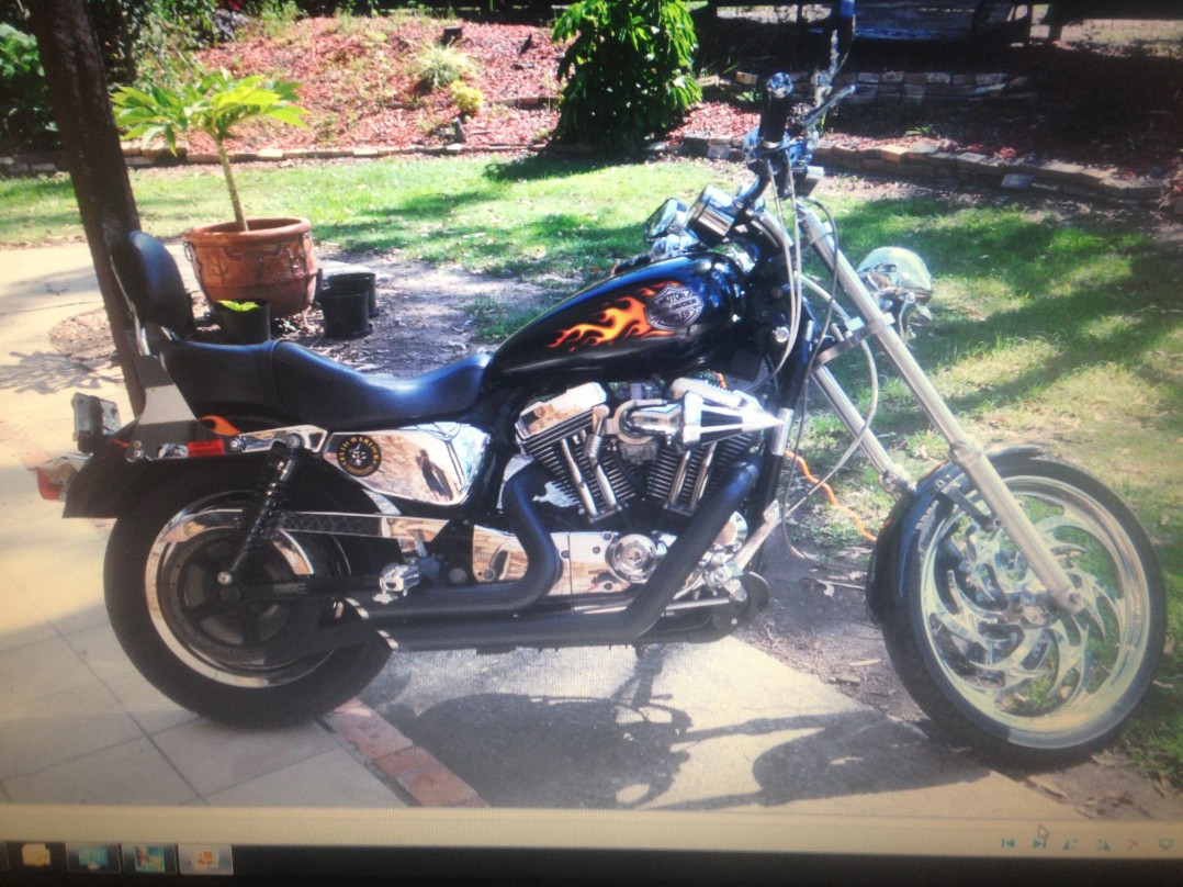 2006 Harley-Davidson xlh sporster 1200 custom