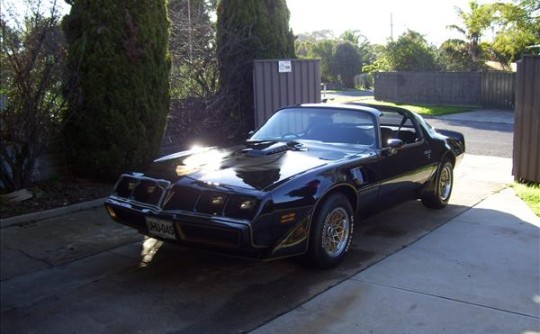 1979 Pontiac trans am Y84 special adition