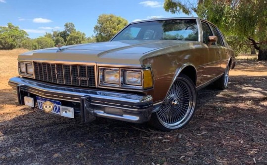 1979 Chevrolet Caprice Classic