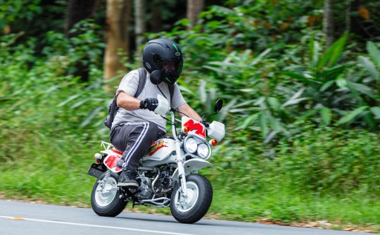 1974 Honda 49cc Z50 MONKEY