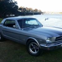 Stang289