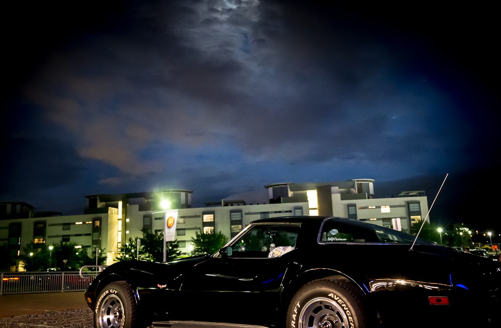 1979 Chevrolet corvette