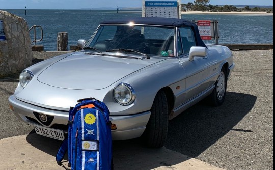 1994 Alfa Romeo SPIDER