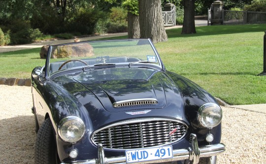 1959 Austin Healey 3000 Mk1 - BT7