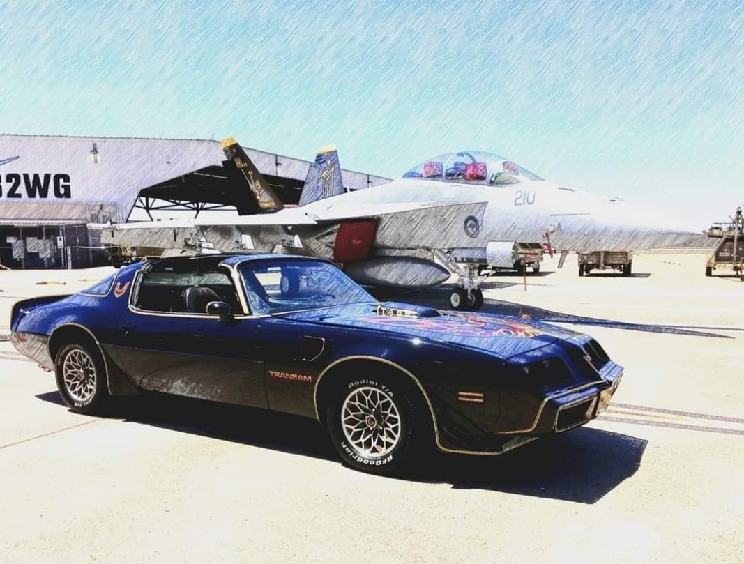 1979 Pontiac FIREBIRD TRANS AM