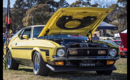 1971 Ford 351 BOSS MUSTANG