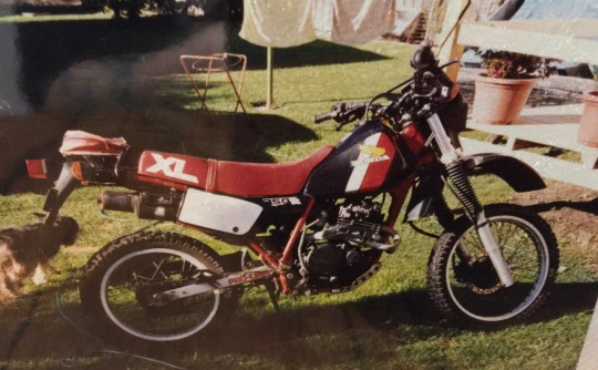 1984 Honda 348cc XL350K