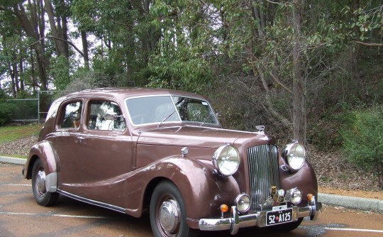 1952 Austin Sheerline ds1