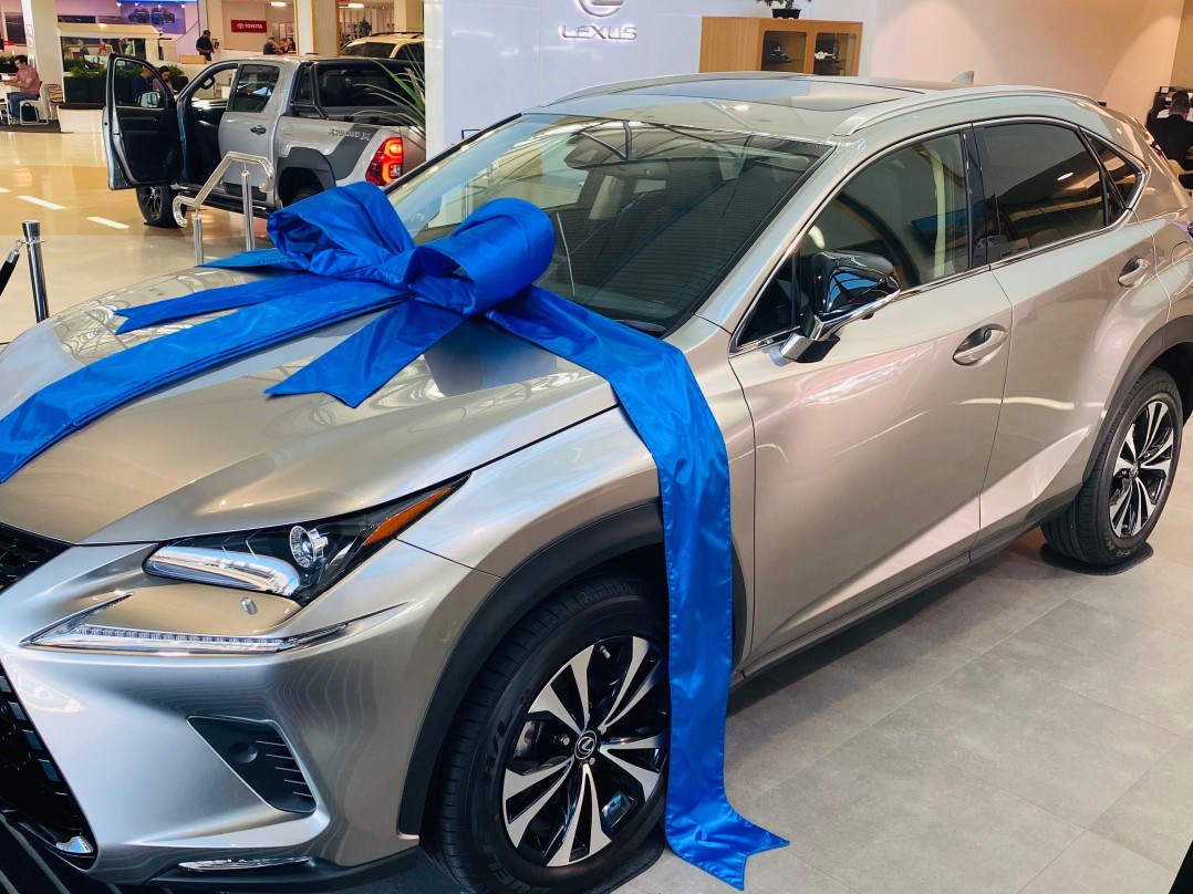 2022 Lexus Nx300 craft edition